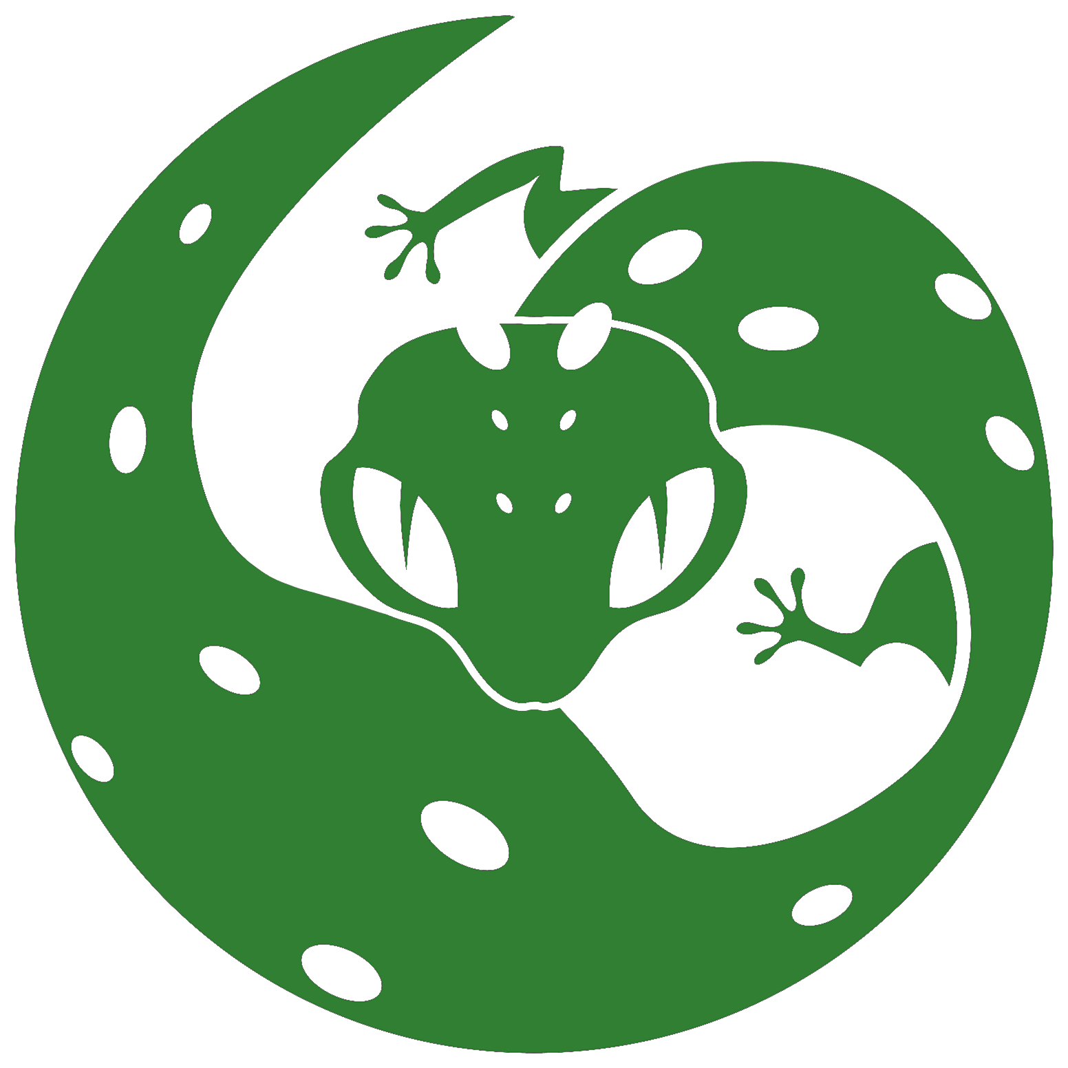 IMORI STUDIO Branding Backdrop